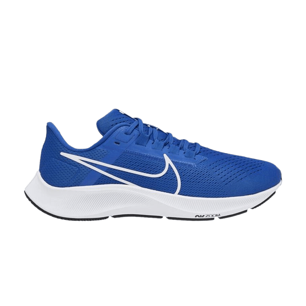 air-zoom-pegasus-38-tb-game-royal-cz1893-403