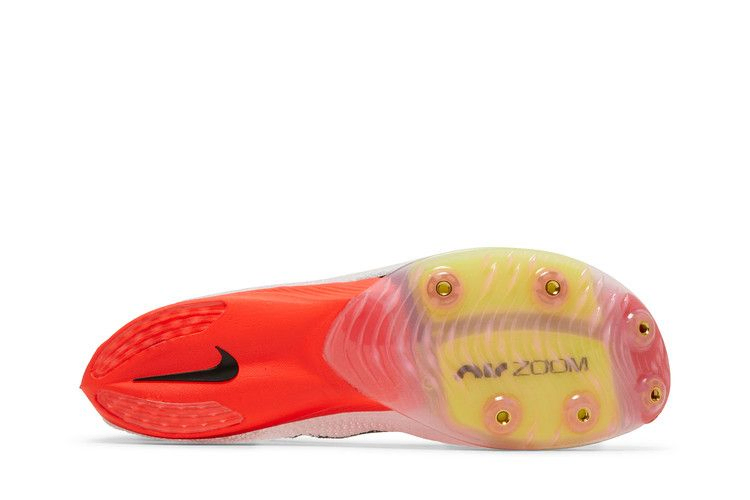 Кроссовки Nike Air Zoom Victory Racing 'Rawdacious'