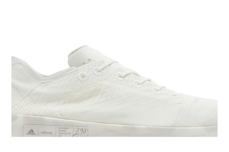 Кроссовки adidas Allbirds x Futurecraft Footprint 'Non Dyed'