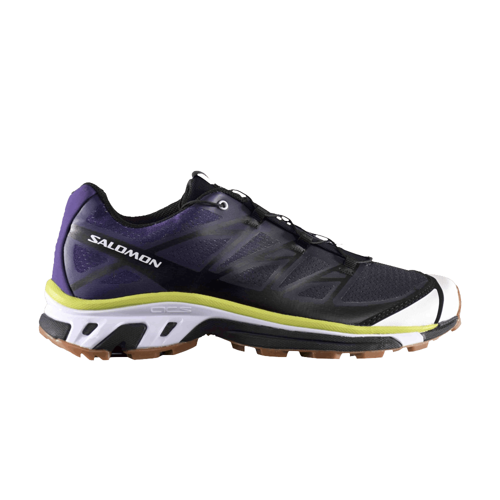 Кроссовки Salomon Avnier x S/Lab XT-5 'Parachute Purple Lime Gum'