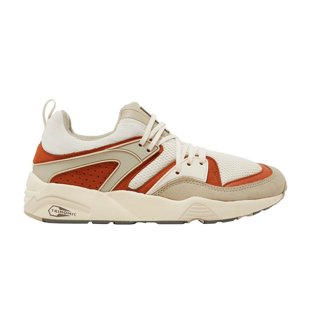 blaze-of-glory-vaporous-grey-warm-chestnut-387575-03
