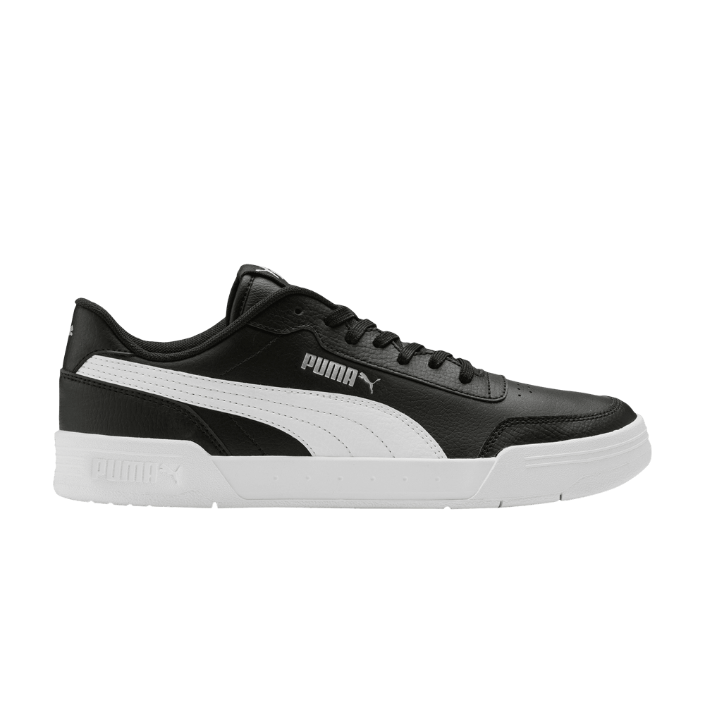 caracal-black-white-369863-07