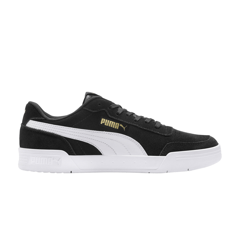 caracal-black-white-370304-01
