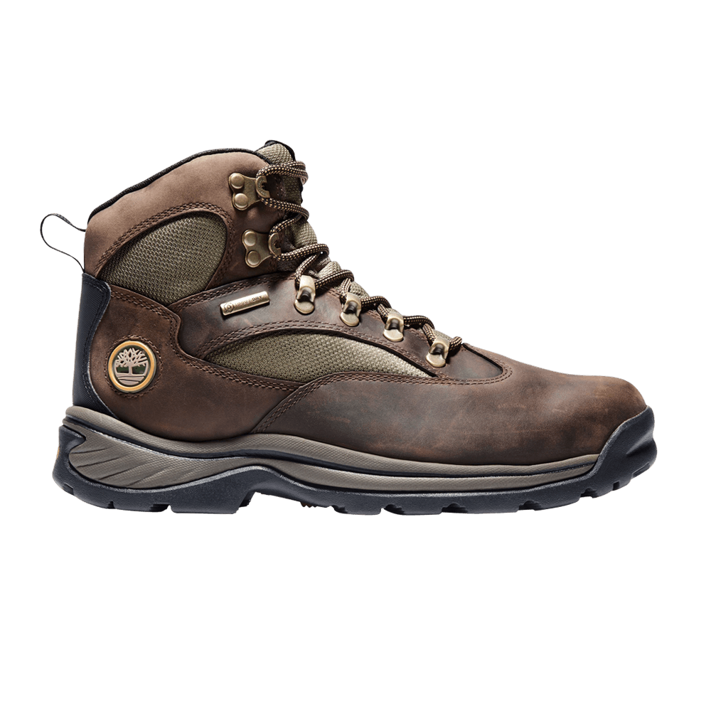 Кроссовки Timberland Chocorua Trail Waterproof Mid Hiking Boot 'Medium Brown'