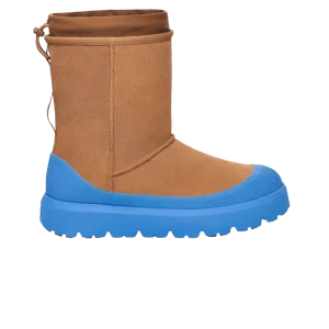 Каштан/Большое небо