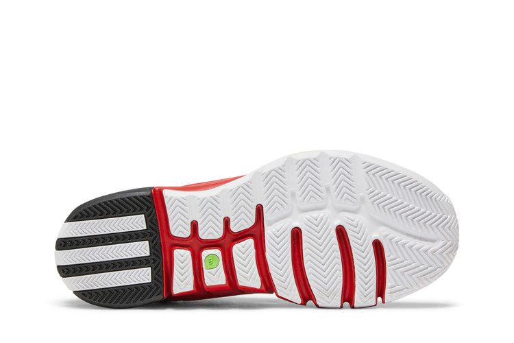 Кроссовки adidas D Rose 4 EVO 'Brenda'