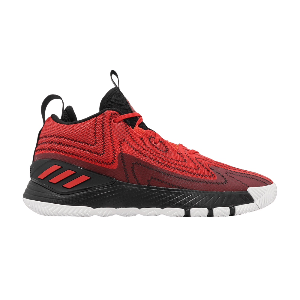 d-rose-son-of-chi-2-brenda-gy6497