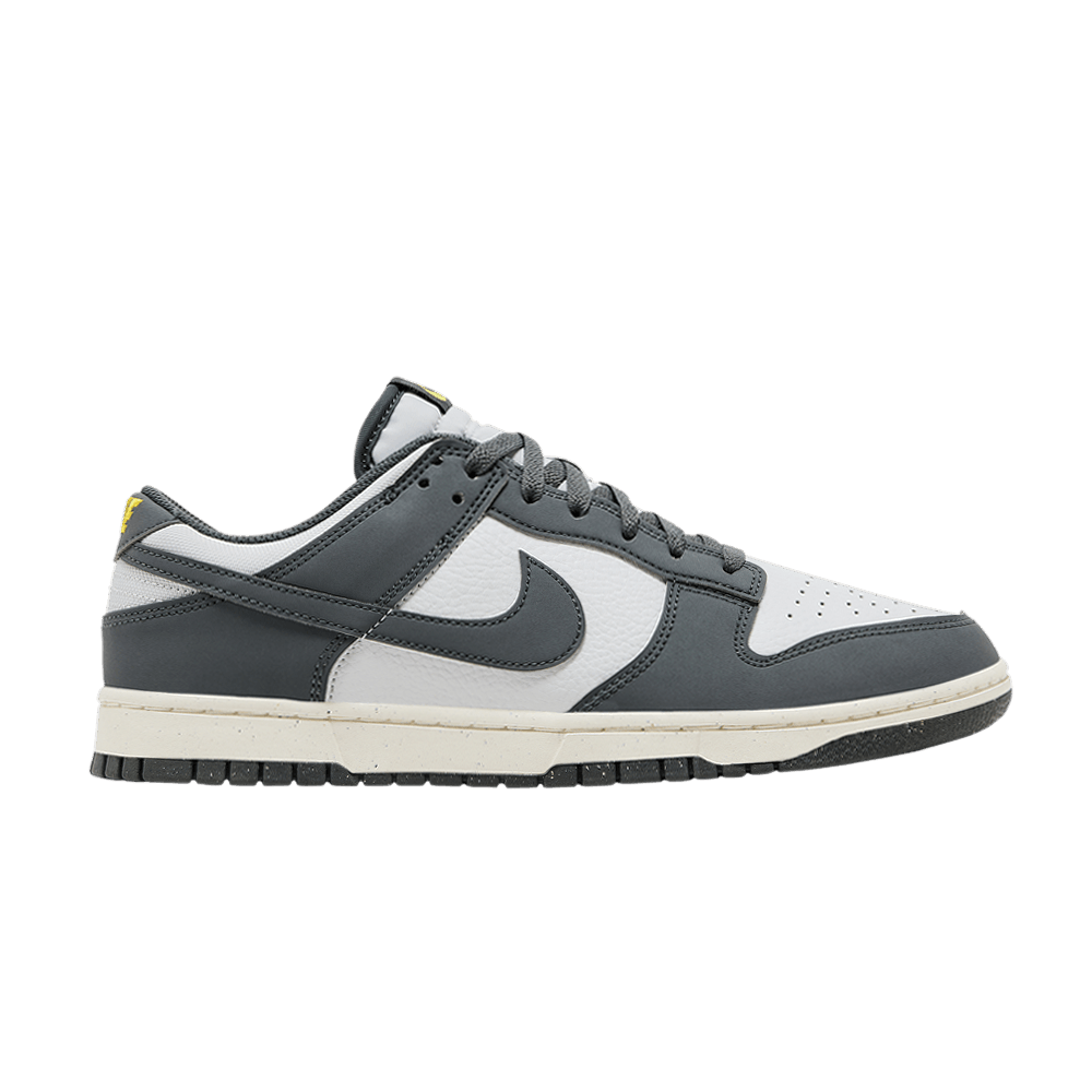 dunk-low-next-nature-iron-grey-lightning-fz4621-001