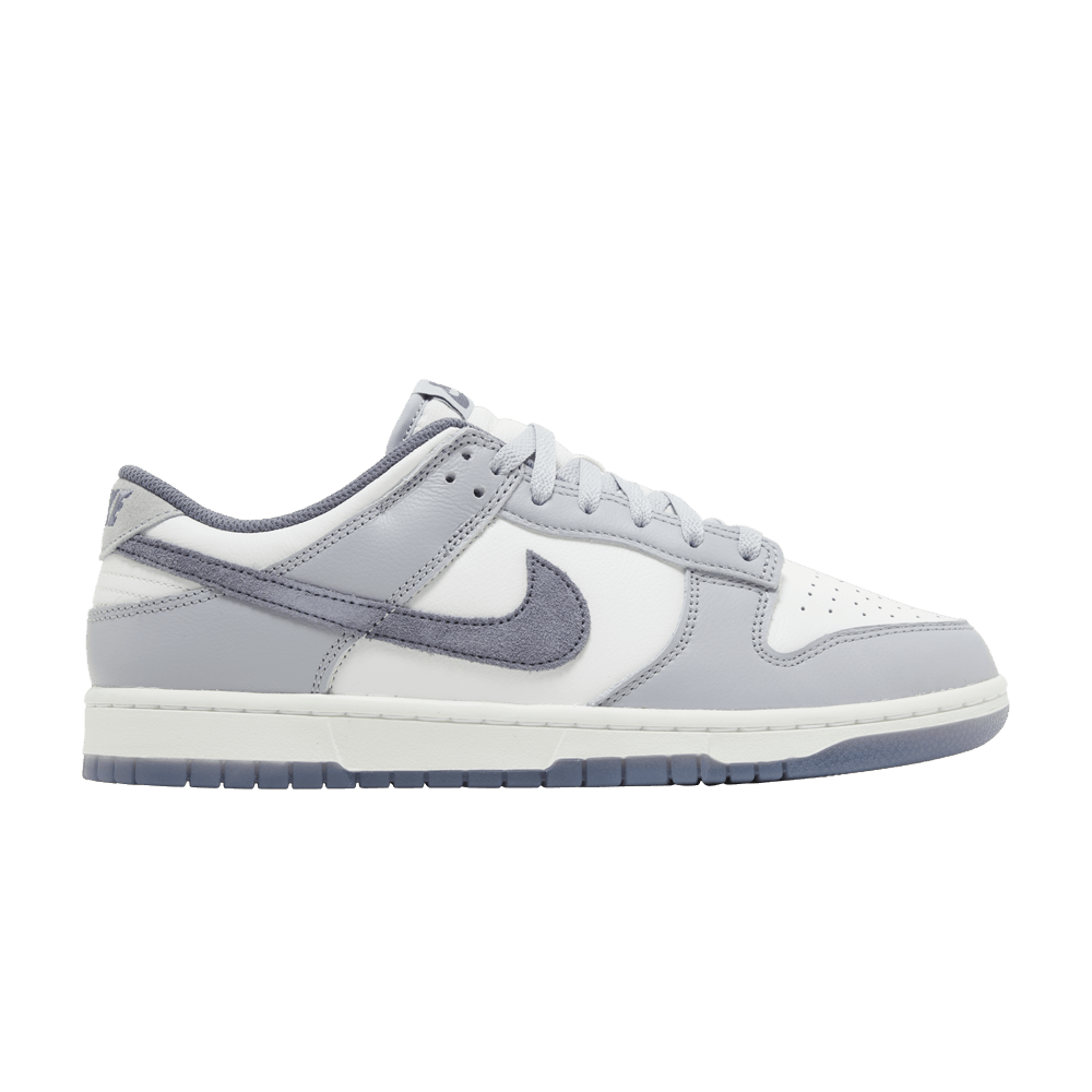 dunk-low-se-light-carbon-fj4188-100