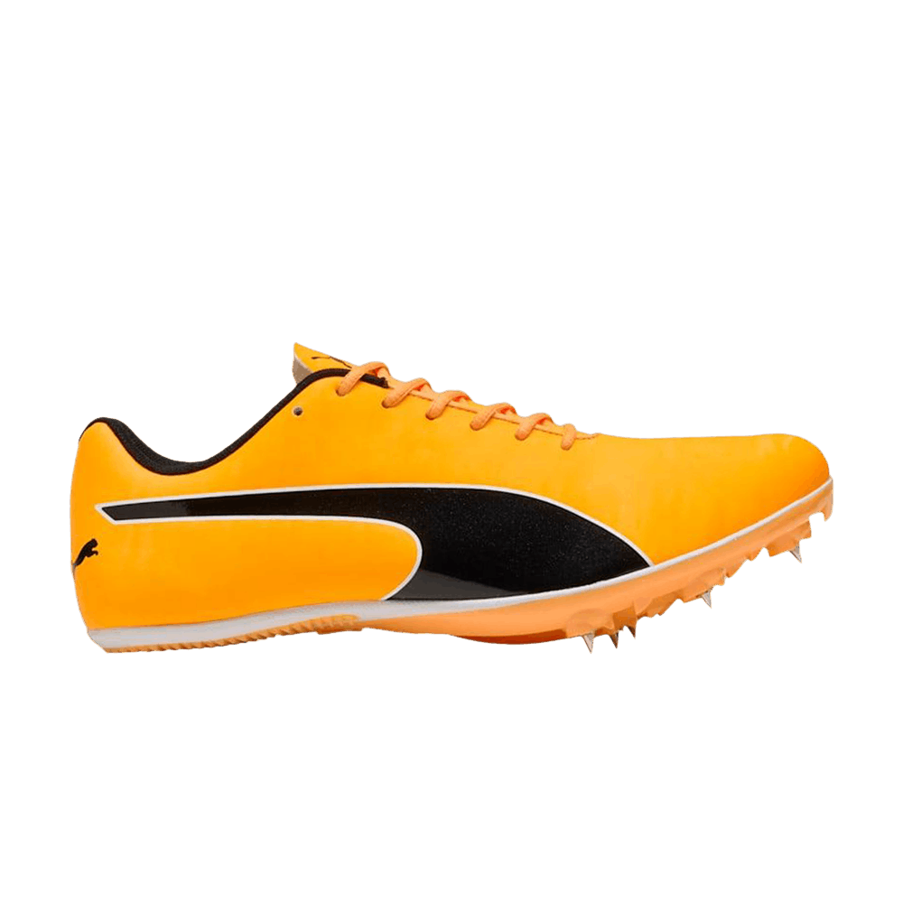 evospeed-sprint-14-5-sun-stream-black-311872-01