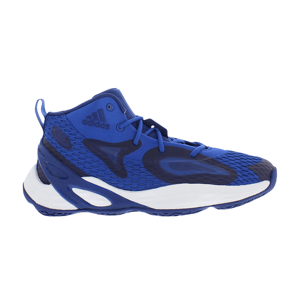 exhibit-a-mid-royal-blue-gw3404