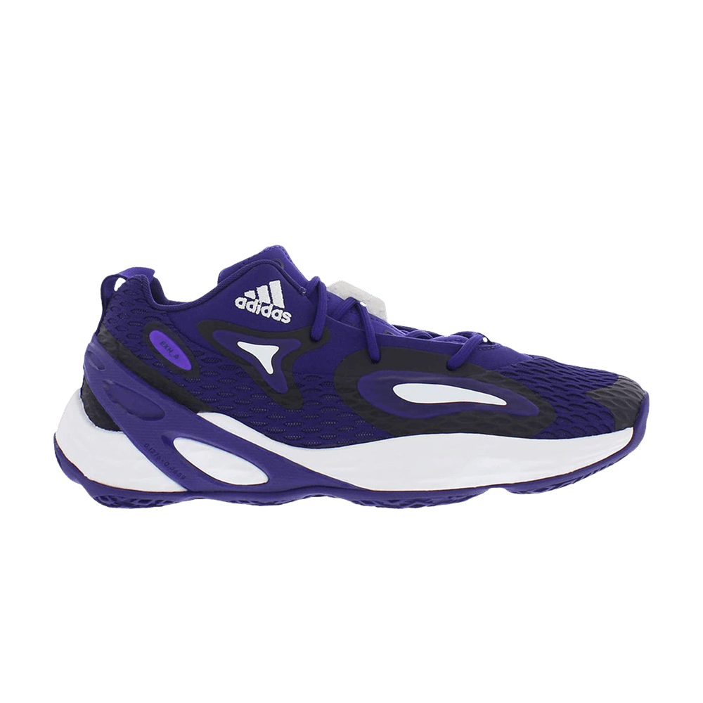 exhibit-a-team-college-purple-gw7894