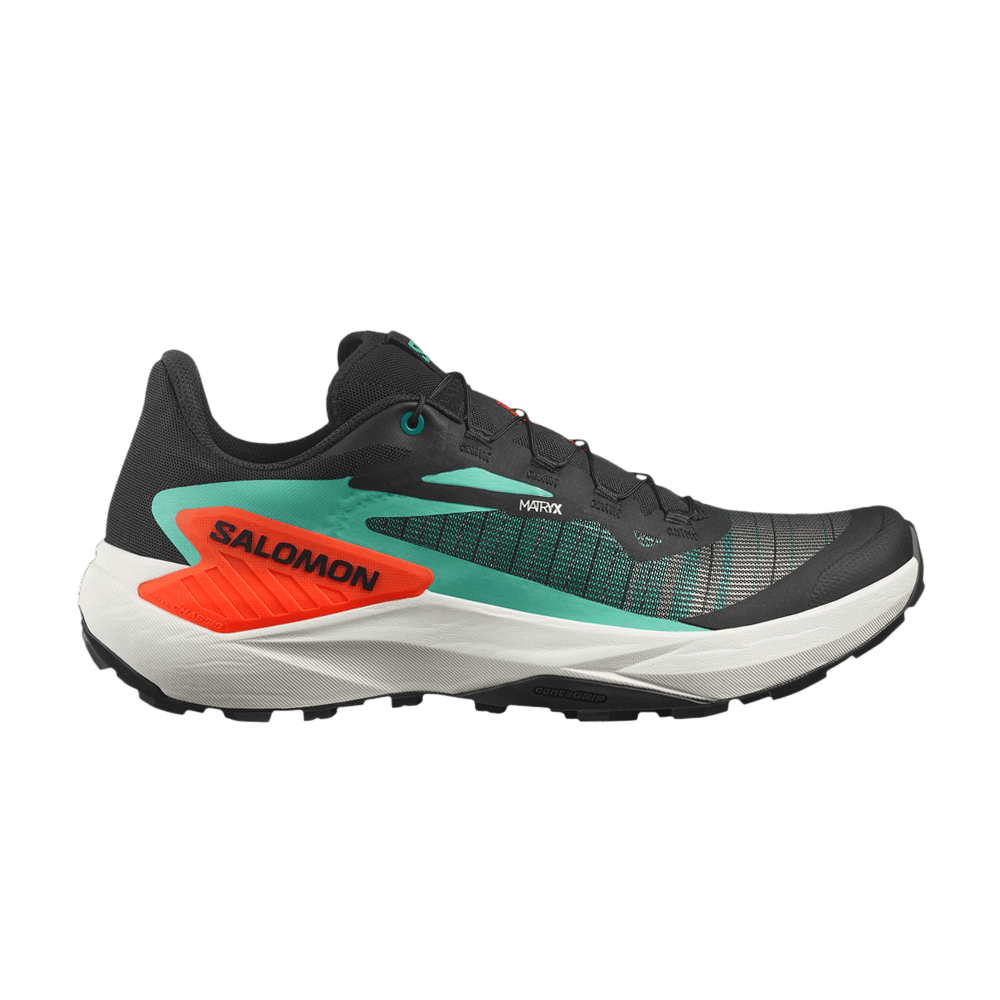 genesis-black-green-cherry-tomato-l47688200