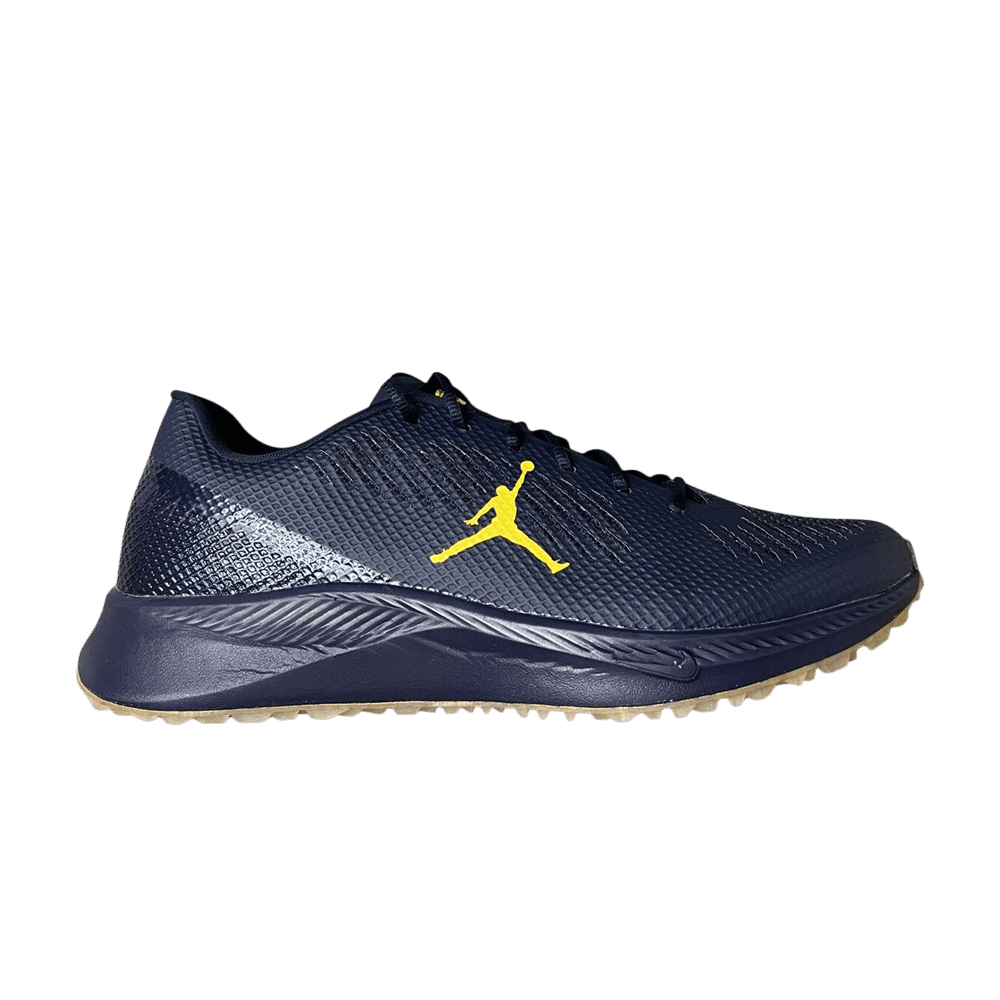 Кроссовки Air Jordan Vapor Edge TF SMU 'Michigan Wolverines'