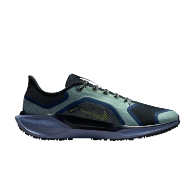 Nike Air Zoom Pegasus 41 GORE-TEX 'Cannon Obsidian'