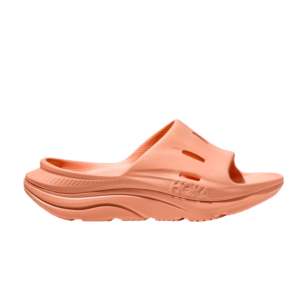 ora-recovery-slide-3-papaya-1135061-ppyp