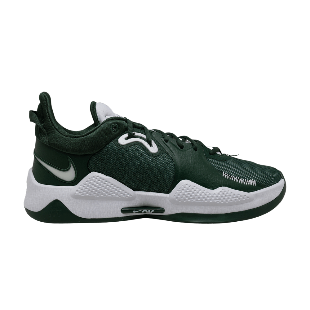 pg-5-tb-fir-dm5045-301