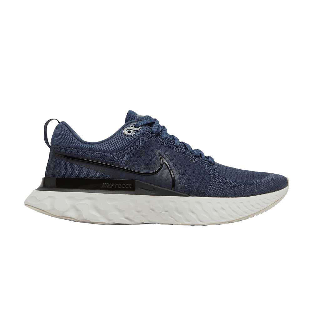 react-infinity-run-flyknit-2-thunder-blue-ct2357-401