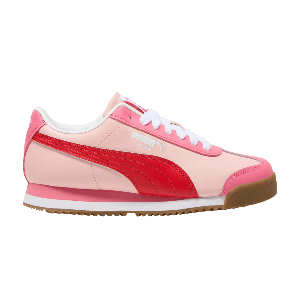 roma-24-standard-big-kid-rose-dust-red-399334-20