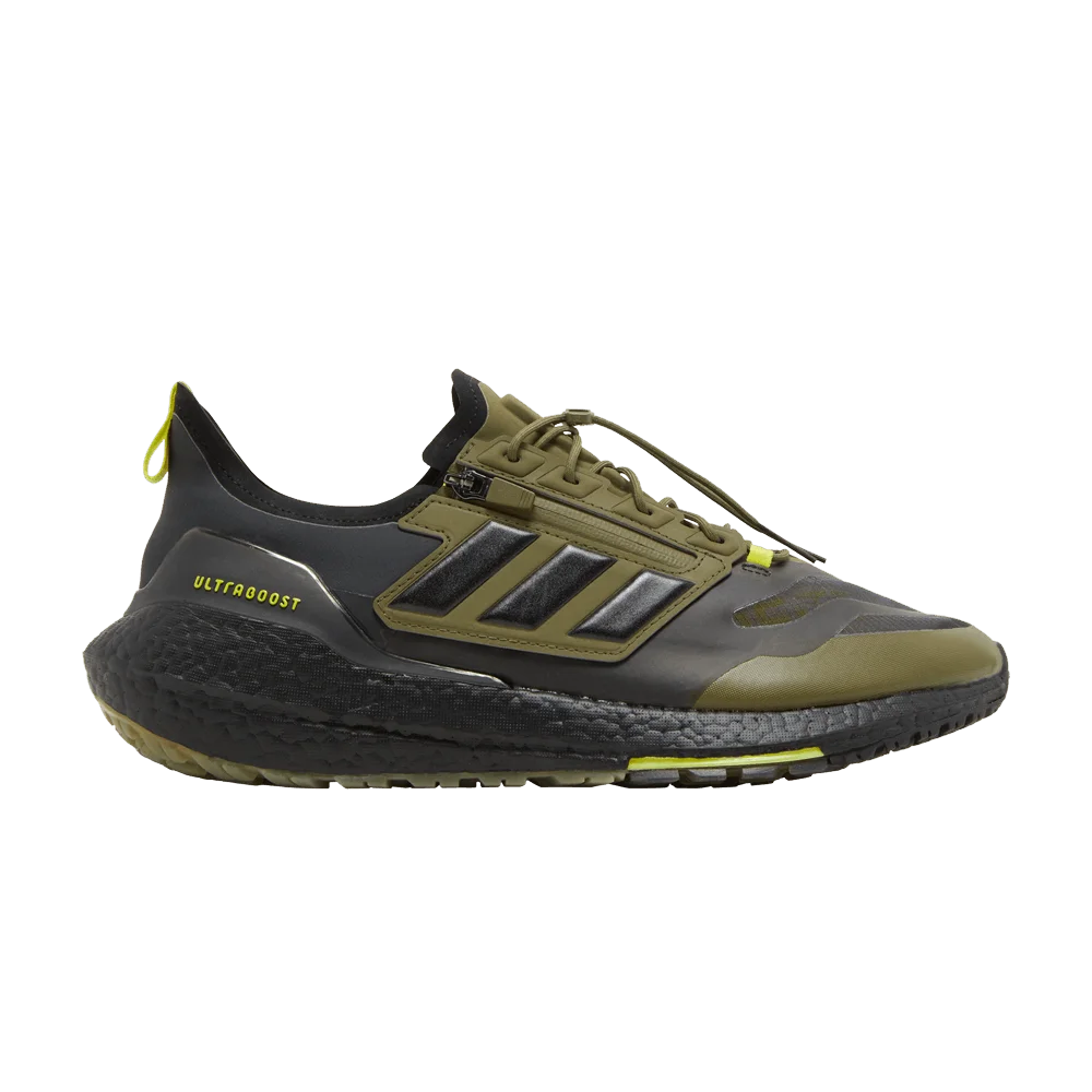 Кроссовки adidas UltraBoost 21 GTX 'Focus Olive'