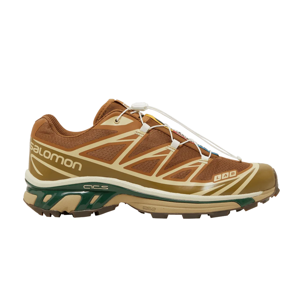 Кроссовки Salomon XT-6 'Rubber Lizard'