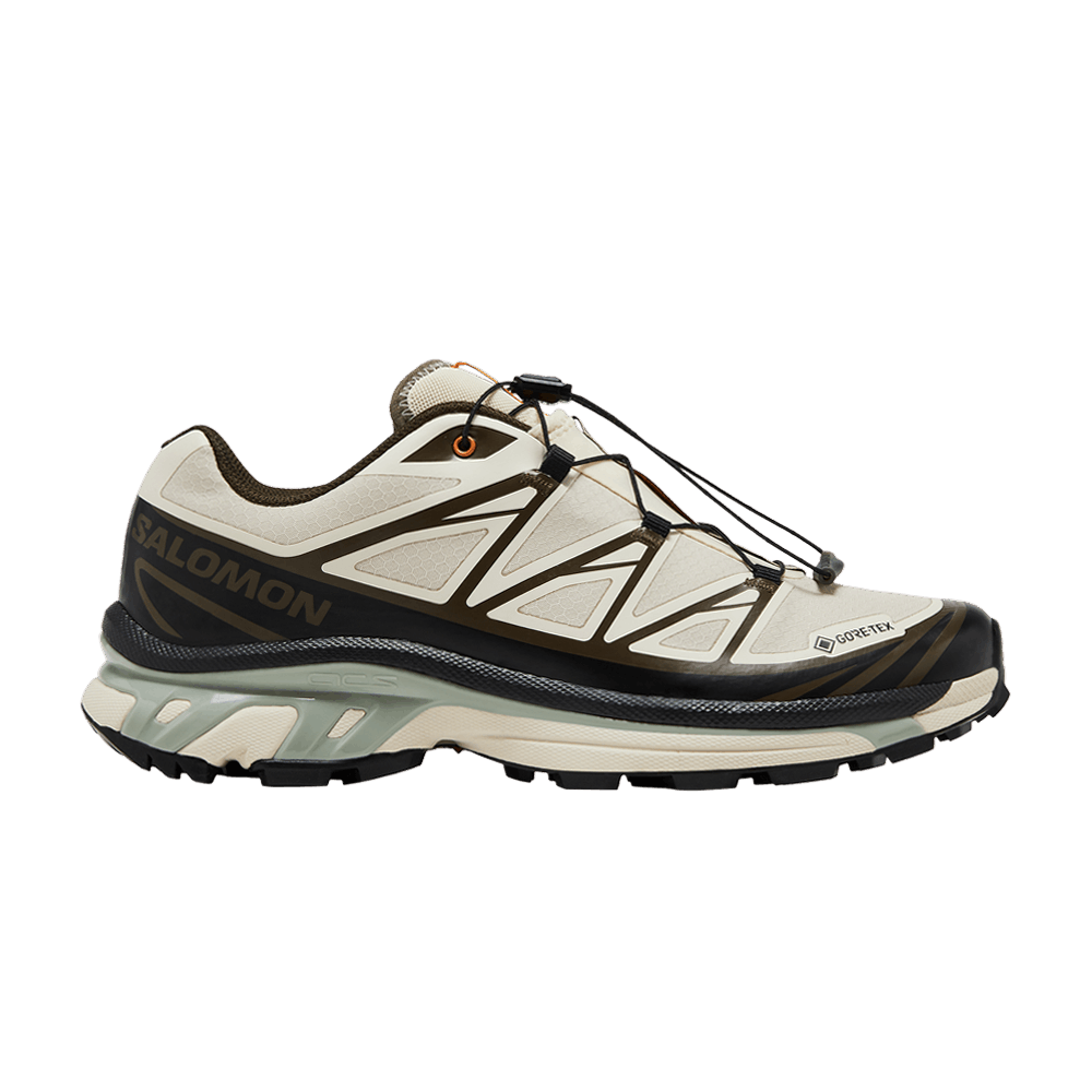 sneakersnstuff-x-xt-6-gore-tex-almond-milk-seagrass-l47792800