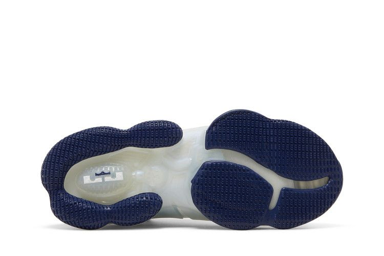 Кроссовки Nike Space Jam x LeBron 19 EP 'Sweatsuit'