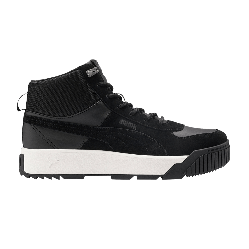 Кроссовки Puma Tarrenz SB 'Black White'