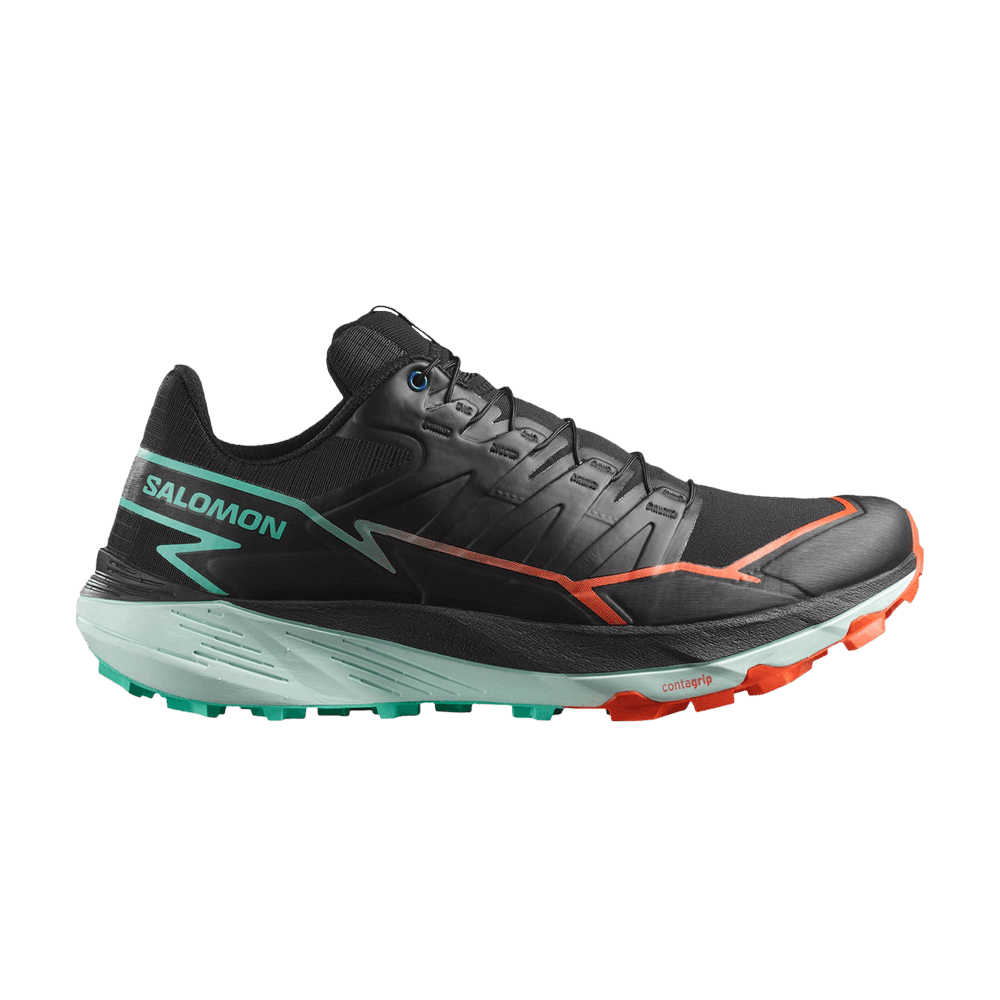 thundercross-black-green-cherry-tomato-l47560900