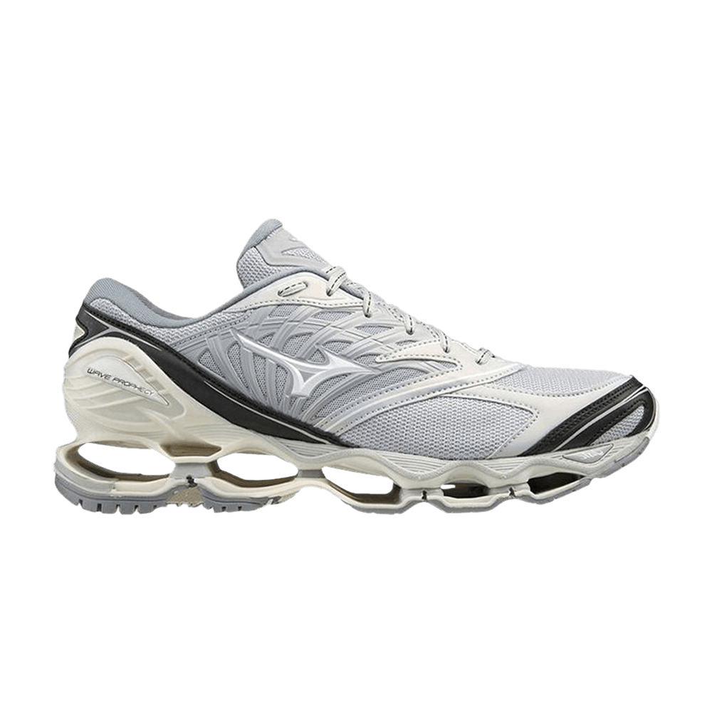 wave-prophecy-ls-grey-d1ga213905