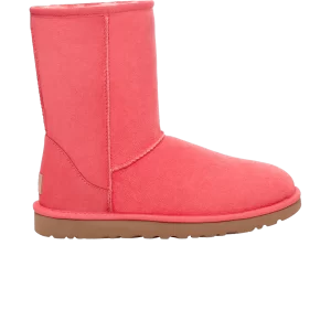 Нантакетский коралл