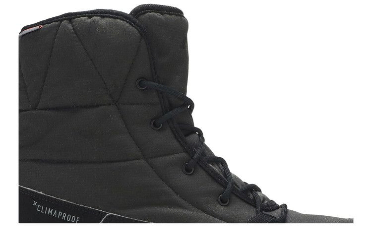 Кроссовки adidas Wmns Terrex Choleah Padded Climaproof 'Core Black'