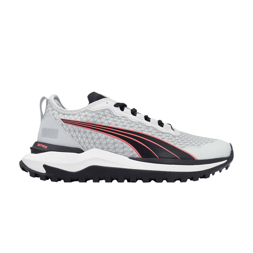 wmns-voyage-nitro-2-gore-tex-platinum-grey-376945-02