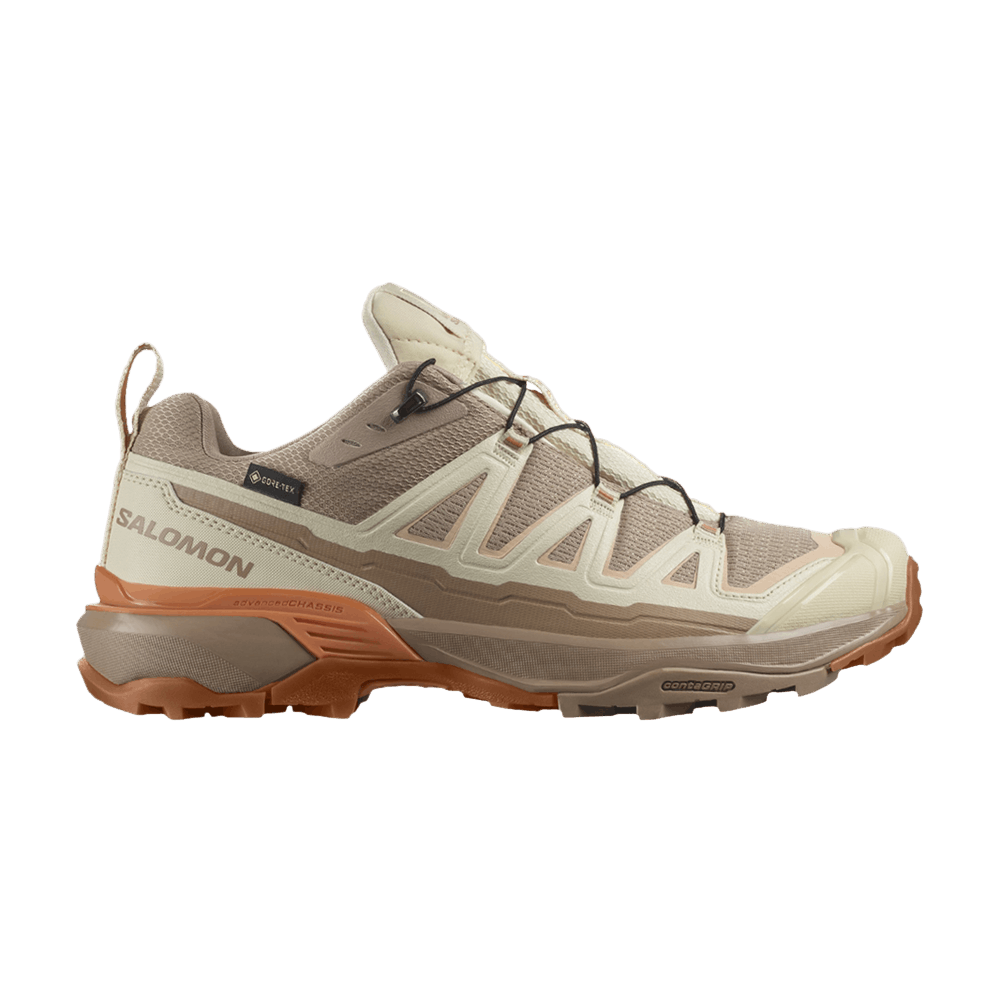 wmns-x-ultra-360-edge-gore-tex-raw-umber-l47463600