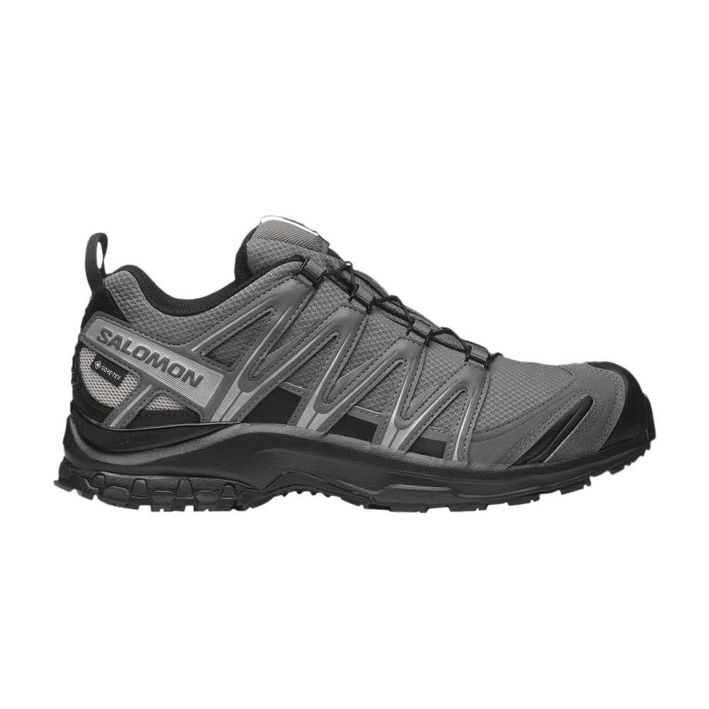xa-pro-3d-gore-tex-pewter-silver-cloud-l47587500