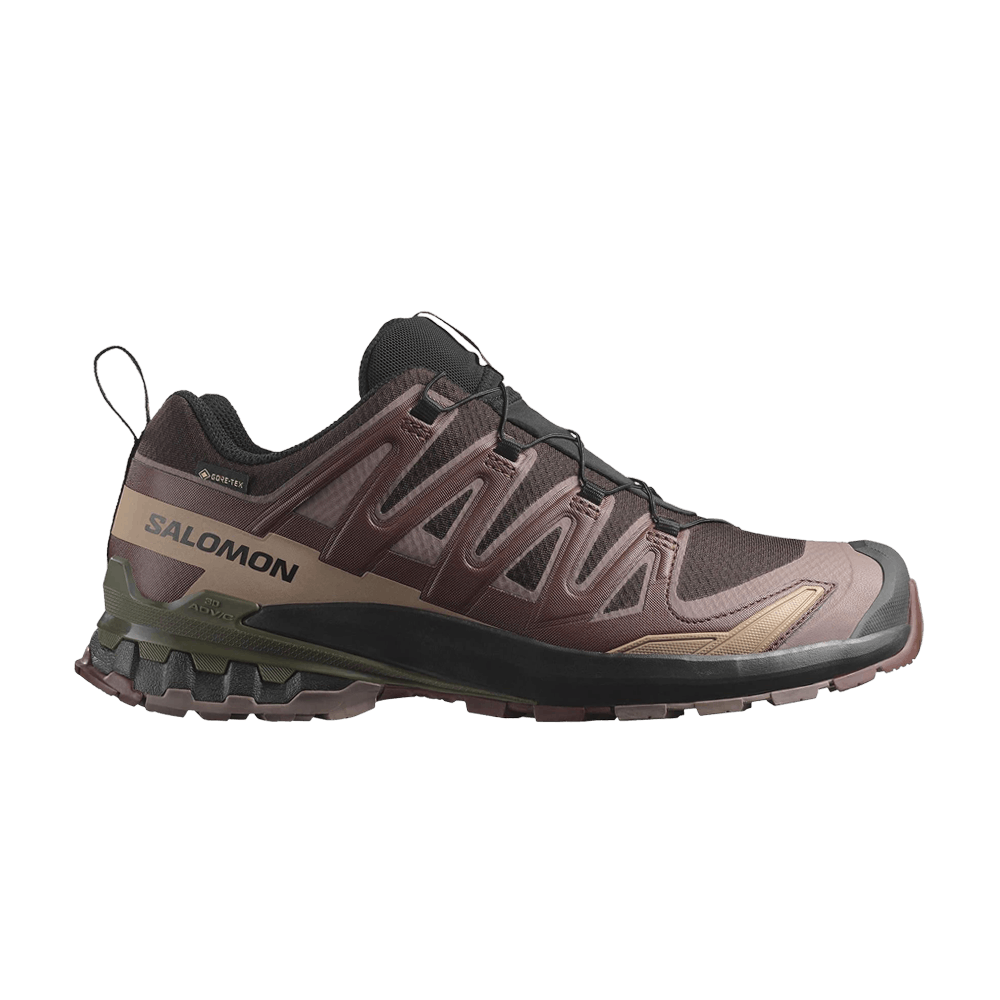 xa-pro-3d-v9-gore-tex-rum-raisin-l47583500