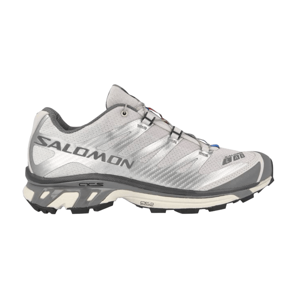 xt-4-advanced-silver-metallic-lunar-rock-413955