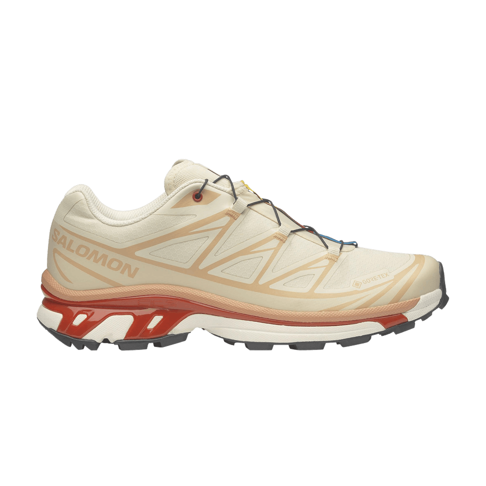 xt-6-gore-tex-almond-milk-burnt-ochre-l47865200