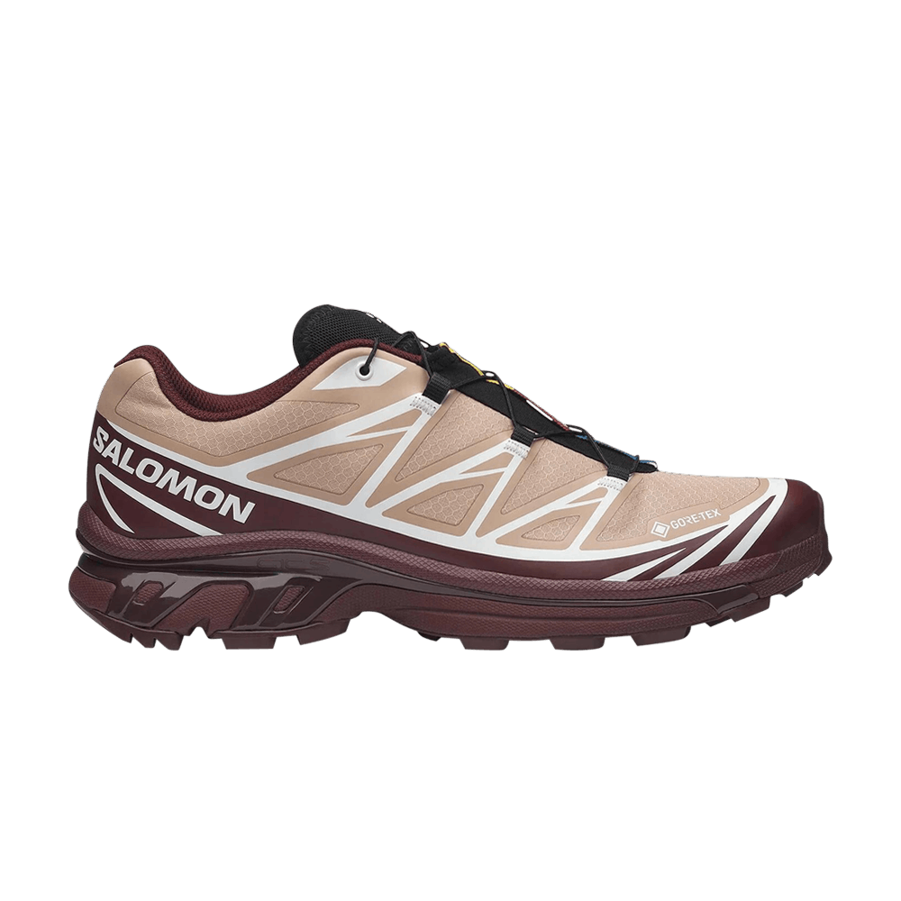 xt-6-gore-tex-mahogany-rose-l47863700