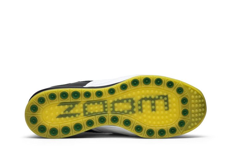 Кроссовки Nike Zoom Revis 'Oregon Ducks' PE