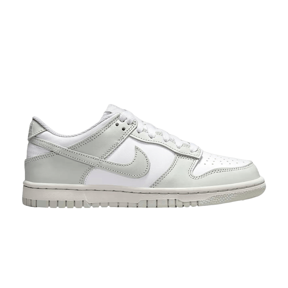 nike-dunk-low-gs-photon-dust-fb9109-124