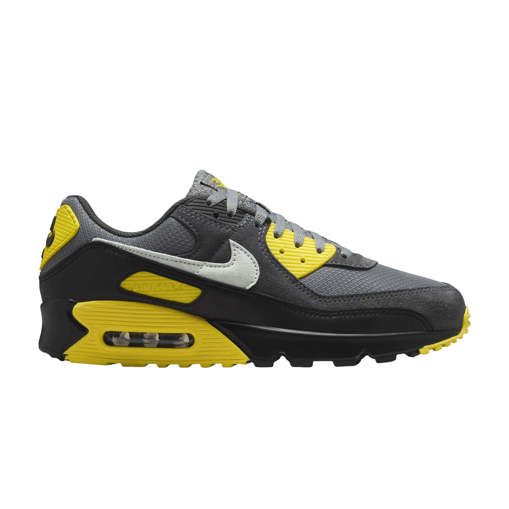 Кроссовки Nike Air Max 90 'Smoke Grey Lightening'