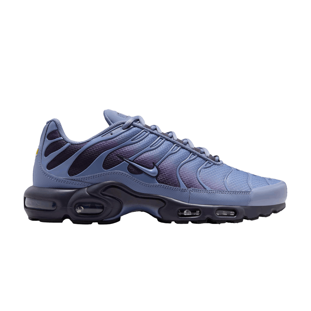 Кроссовки Nike Air Max Plus 'World Indigo'