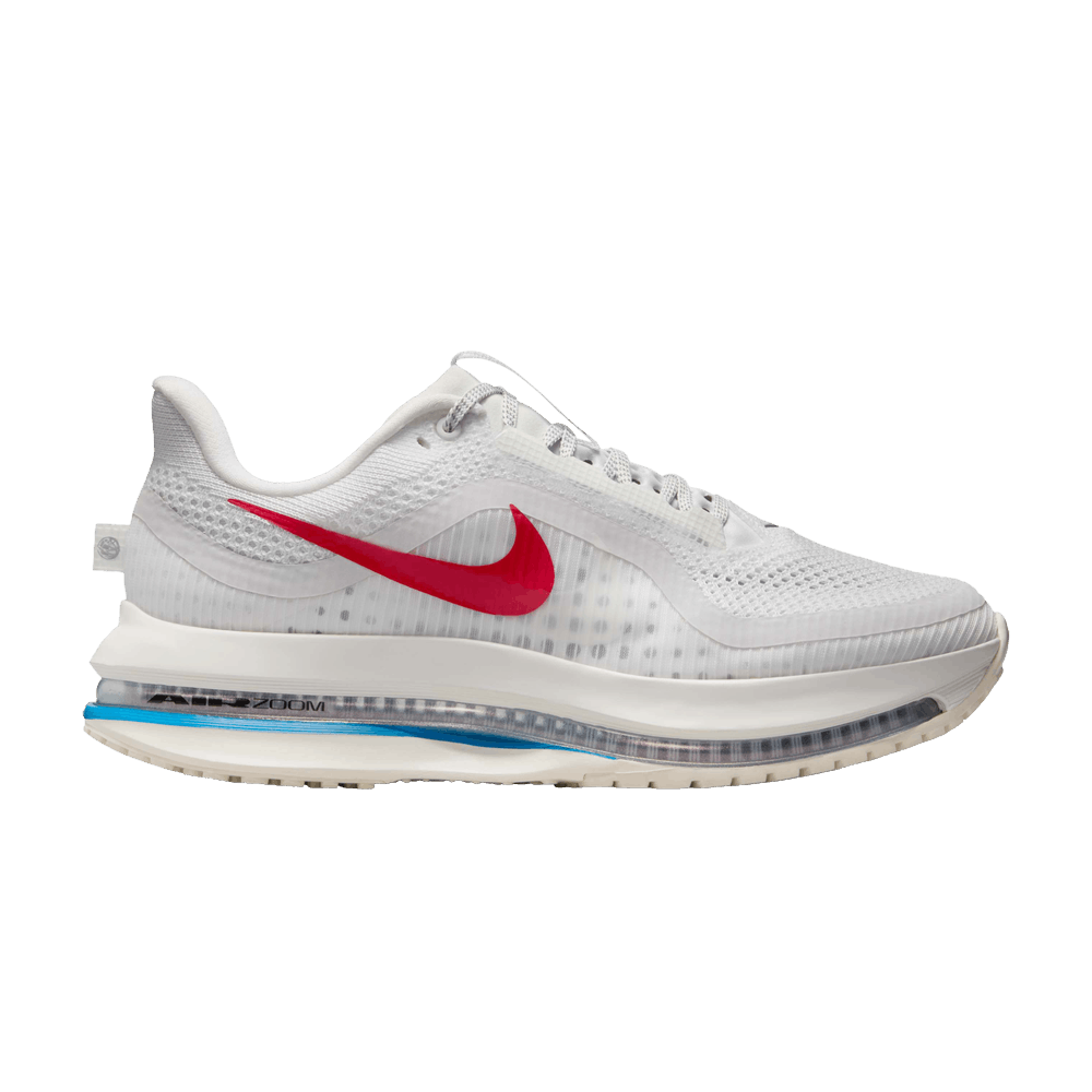 Кроссовки Nike Wmns Pegasus Premium 'Forrest Gump'