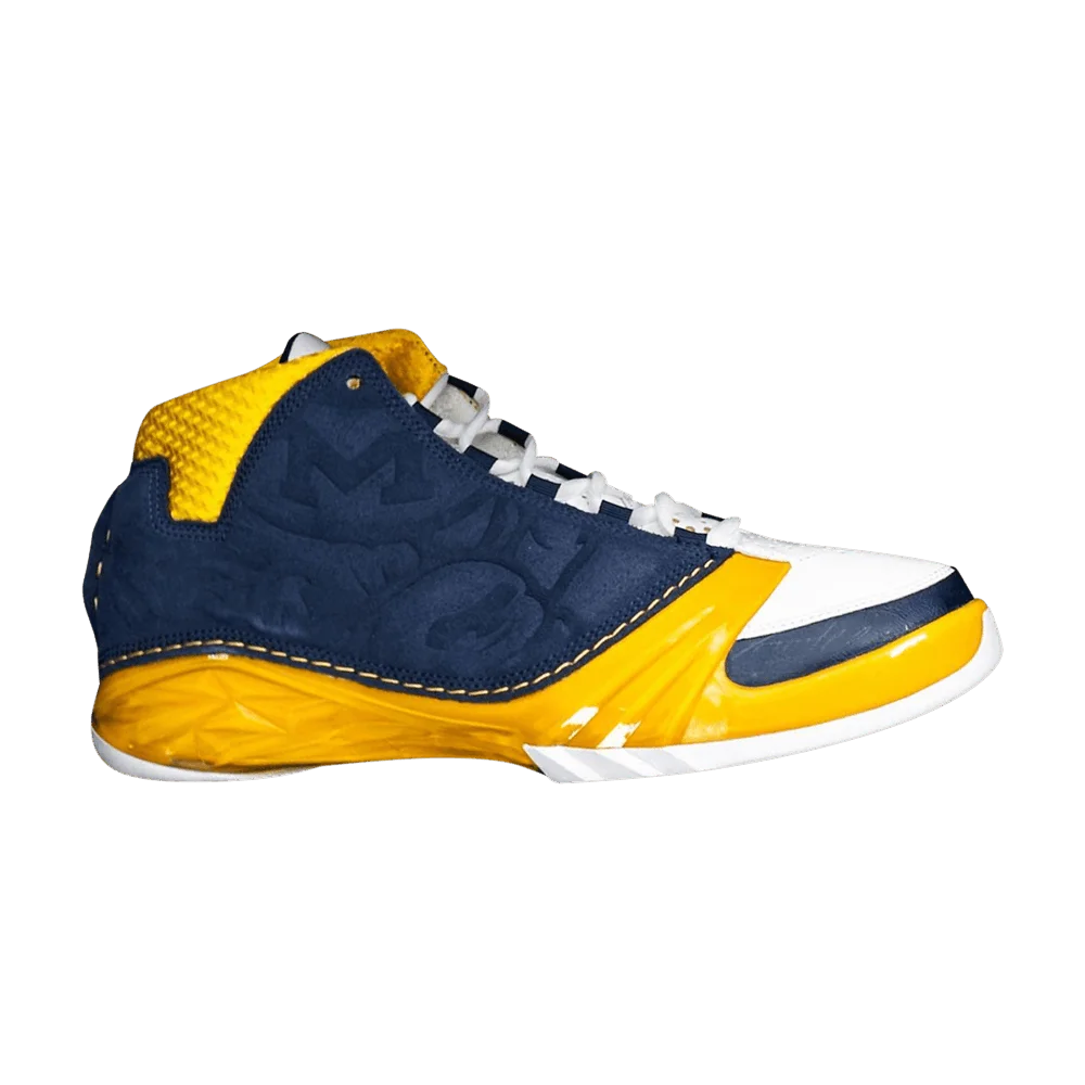 Кроссовки Air Jordan 23 Retro Promo 'Michigan Wolverines' PE
