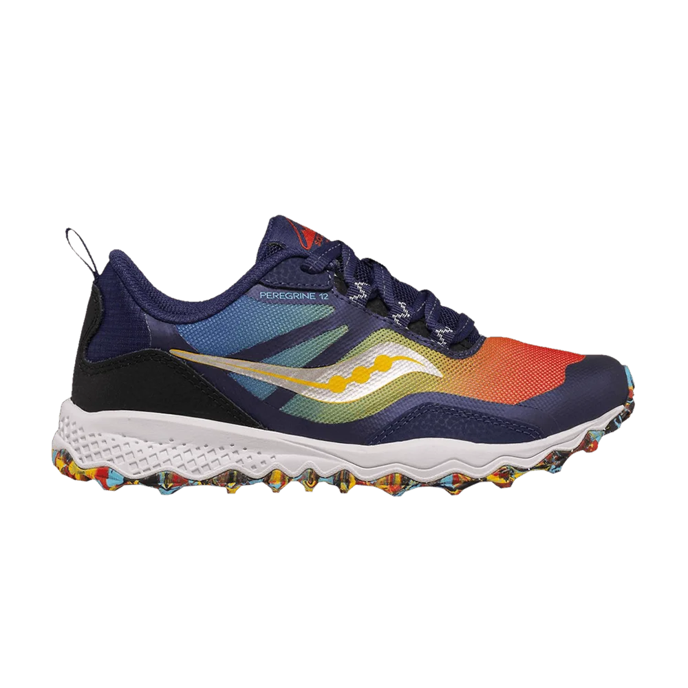 Кроссовки Saucony Peregrine 12 Shield Big Kid 'Blue Red Yellow'