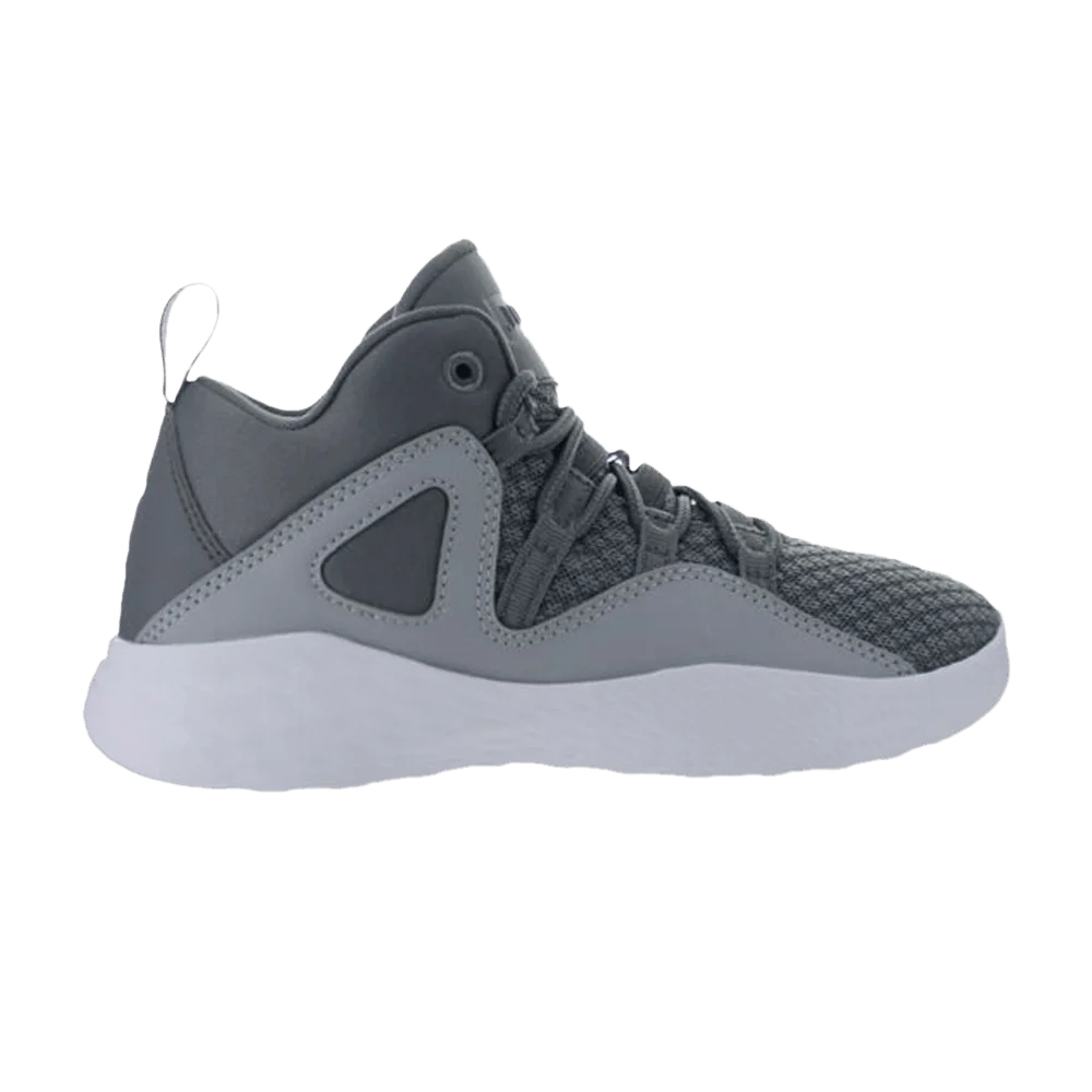 Krossovki-Air-Jordan-Formula-23-PS-Cool-Grey