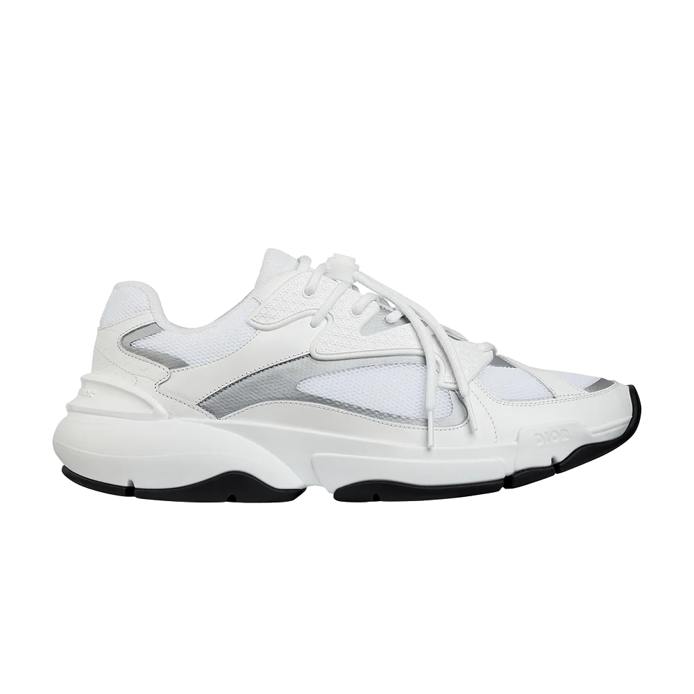 Krossovki-Dior-B24-White-Silver