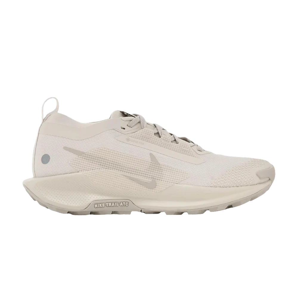 Krossovki-Nike-Wmns-Pegasus-Trail-5-Beige