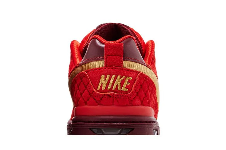 Krossovki-Paul-Rodriguez-x-Nike-SB-Air-Zoom-Low-NBA-All-Star-West-6